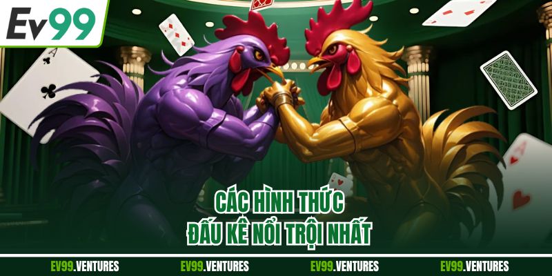 Các hình thức đấu kê nổi trội nhất