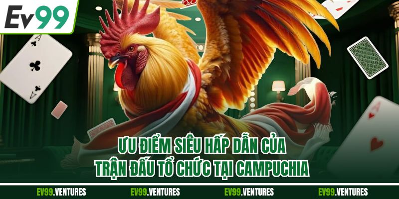 Ưu điểm siêu hấp dẫn của trận đấu tổ chức tại Campuchia